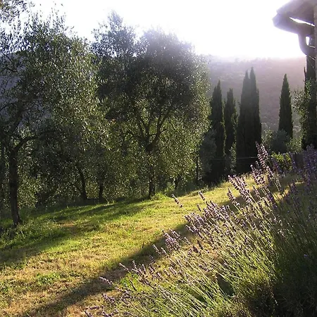 Charming House In Tuscany With Pool & Views *