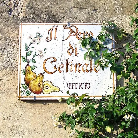 Charming House In Tuscany With Pool & Views