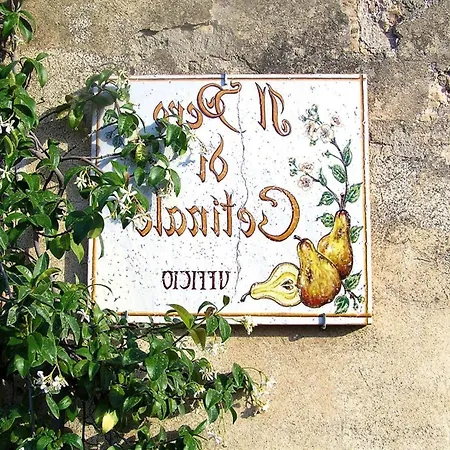 Charming House In Tuscany With Pool & Views Lejlighed *